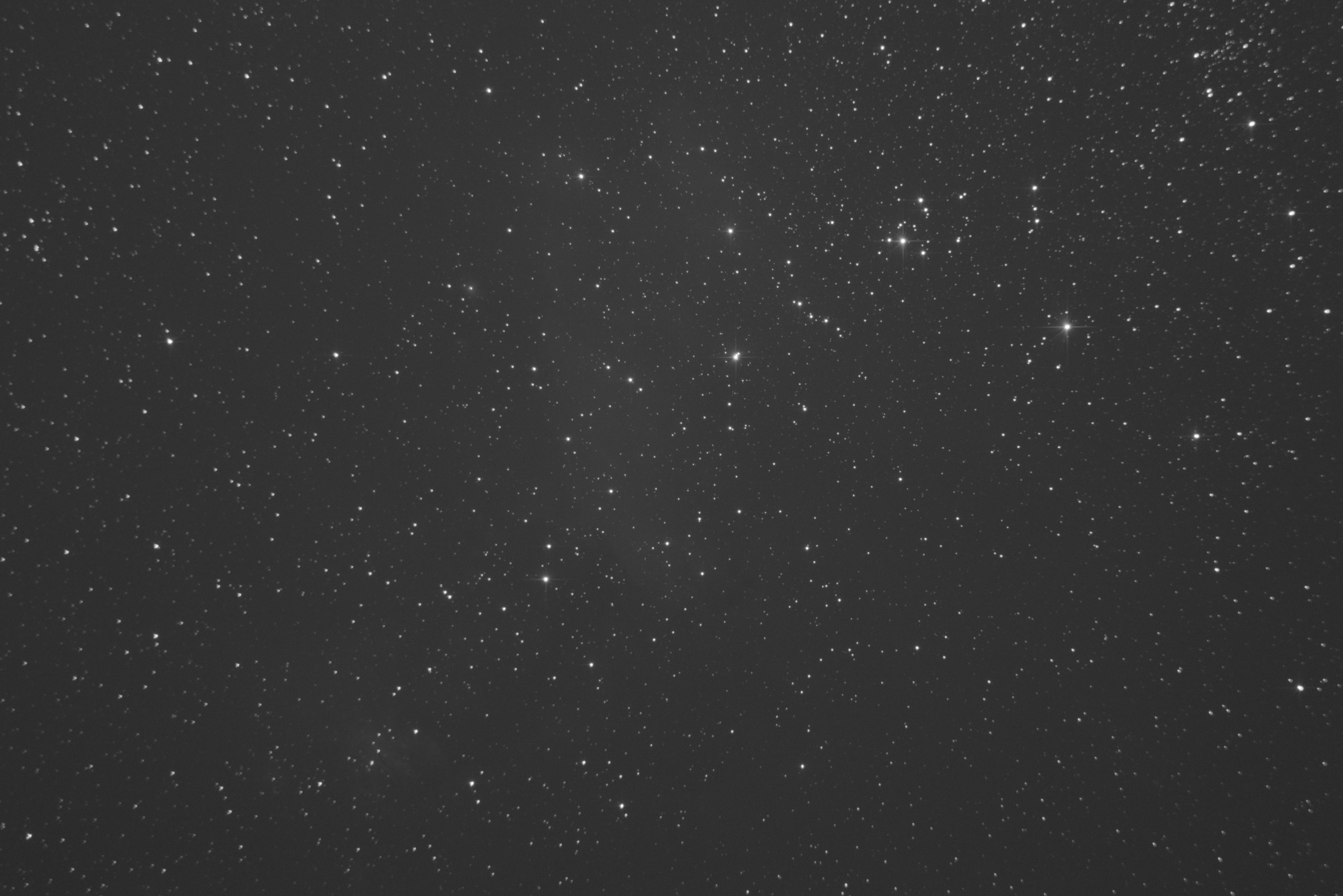 Prawn Nebula — single raw frame