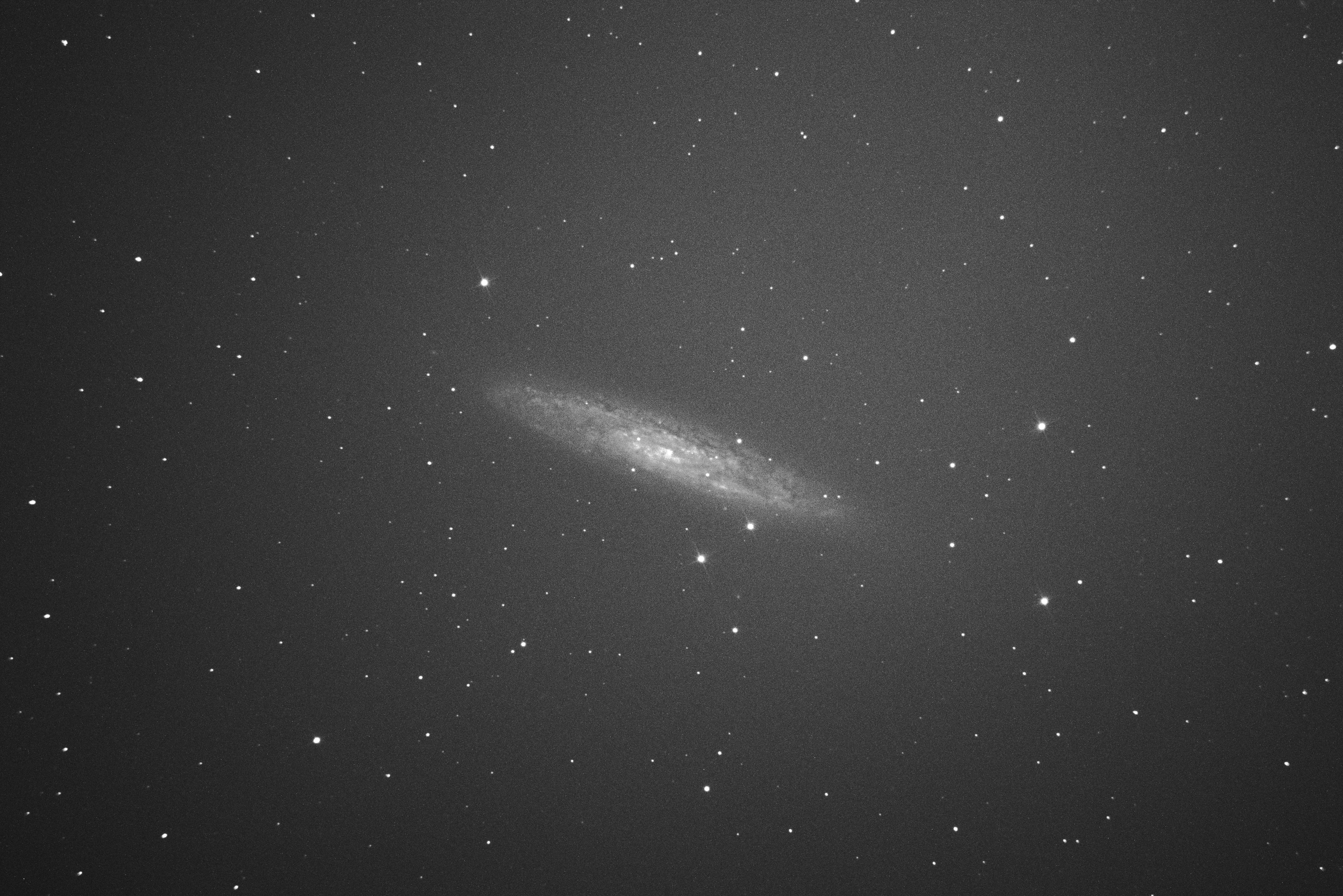 Silver Coin Galaxy — single raw frame
