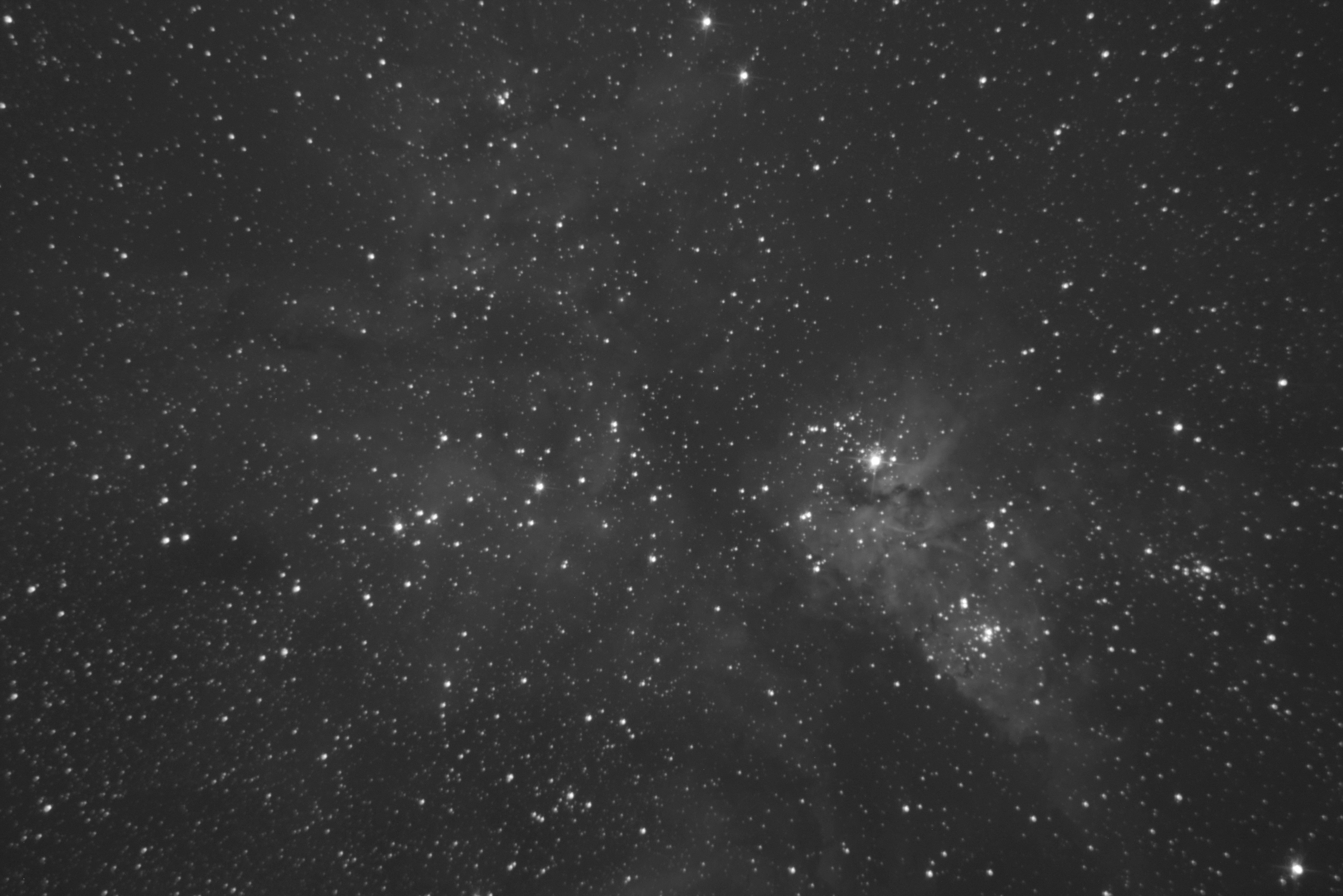 Carina Nebula — single raw frame